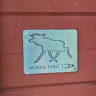Moose Färg vignet