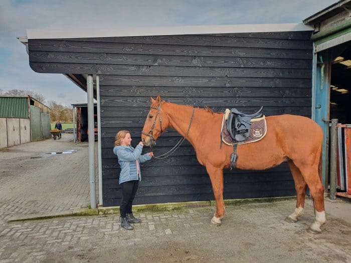 paarden schuur verven