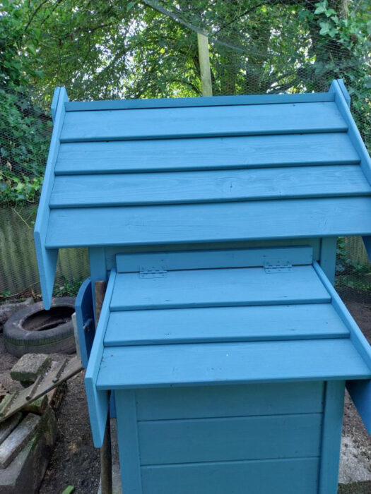 kippenhok blauw verven